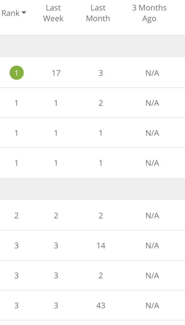 Top Ranking bei google